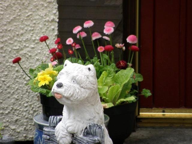 Kettle House B&B Fort Augustus Eksteriør billede